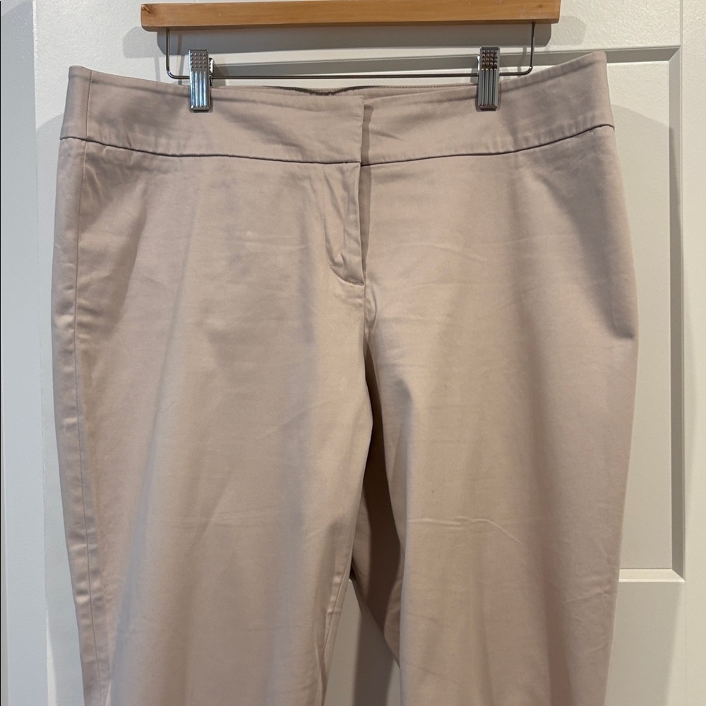 Stretch Ankle Pants in Light Taupe